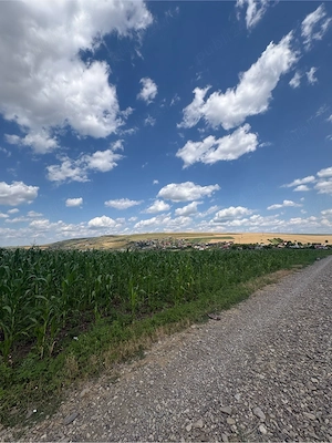 Vând Teren Intravilan Lețcani, Jud.Iași, 3684mp - imagine 2