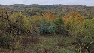 Vanzare sau Schimb! Central Drajna de Jos 5000 mp - imagine 8
