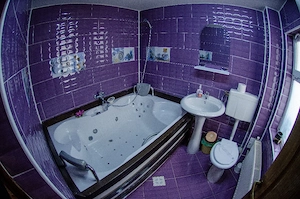 cazare in regim hotelier sinaia 165 camera dubla - imagine 3