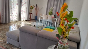 Casă superba 3 dormitoare, Vădeni - imagine 2