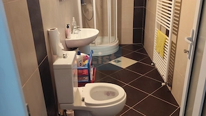 Vila superba 7 camere, Provita de Jos, 22.000 mp teren - imagine 7
