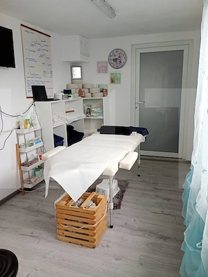 Casa cu 6 camere, 205 mp, teren 502 mp, Chichiș - imagine 9