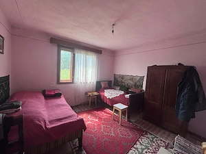 Fanate - Proprietate cu domeniu - imagine 11