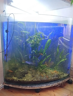 Vând acvariu, reducere de preţ
