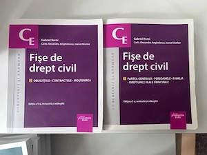 Fise Drept Civil