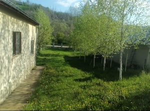 Casa Com.Razvad   - imagine 4