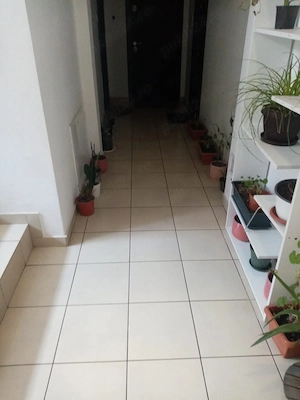 Ofer servicii de curățenie inclusiv după constructor 
