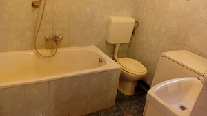 vanzare casa 4 camere in loc Bodrogu Nou - imagine 7