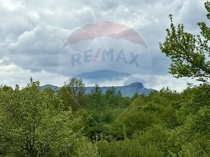 Teren Breb 20.876mp extravilan - imagine 6