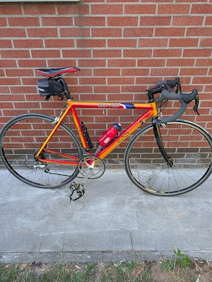 Bicicleta Cursiera