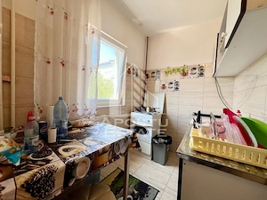 Apartament cu o camera de vanzare, zona Lipovei, Timisoara - imagine 3
