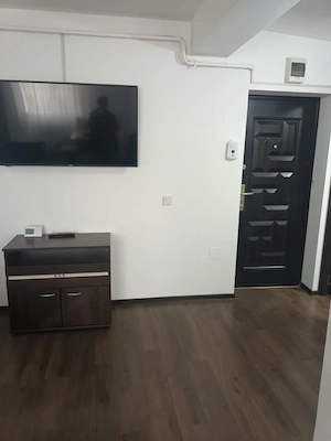 Apartament 2 camere tip studio, bloc 2019, Brazda lui Novac - imagine 2