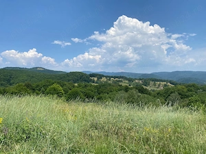 Teren extravilan de vânzare,suprafață de 4074mp,situat între Domnești și Musetesti,județul Arges - imagine 5