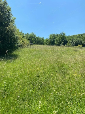 Teren extravilan de vânzare,suprafață de 4074mp,situat între Domnești și Musetesti,județul Arges