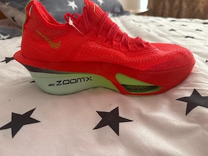 pantofi sport Nike 
