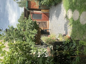 Casa de vanzare in zona centrala Targu Mures - imagine 4