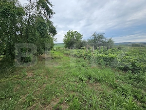Casă de vanzare, 94 mp, teren intravilan 2.698 mp, Cisteiu de Mureș - imagine 17