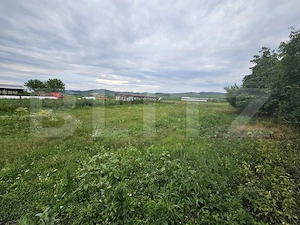Casă de vanzare, 94 mp, teren intravilan 2.698 mp, Cisteiu de Mureș - imagine 18