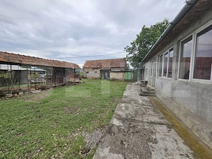 Casă de vanzare, 94 mp, teren intravilan 2.698 mp, Cisteiu de Mureș - imagine 14
