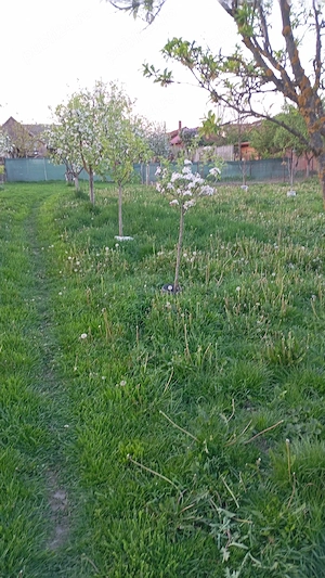 vind 2500m tere la șoseaua principala - imagine 2