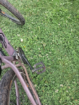 bicicleta giant liv tempt xs