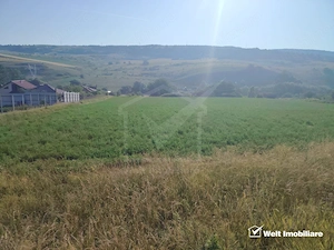 TEREN PENTRU DEZVOLTARE IMOBILIARA - 7.092 MP - CORUSU, BACIU - imagine 4