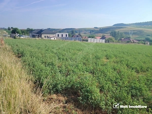 TEREN PENTRU DEZVOLTARE IMOBILIARA - 7.092 MP - CORUSU, BACIU - imagine 3