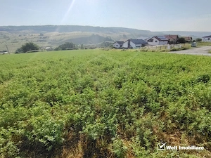 TEREN PENTRU DEZVOLTARE IMOBILIARA - 7.092 MP - CORUSU, BACIU - imagine 2