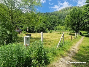 Teren ideal pentru casă de vacanță, aproape de coada lacului Tarnița - imagine 2