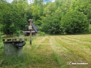 Teren ideal pentru casă de vacanță, aproape de coada lacului Tarnița - imagine 3