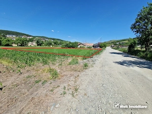 Teren intravilan 2000 mp – Popesti (Baciu) Ideal pentru casă, grădină și livada - imagine 2