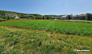 Teren intravilan 2000 mp – Popesti (Baciu) Ideal pentru casă, grădină și livada - imagine 5