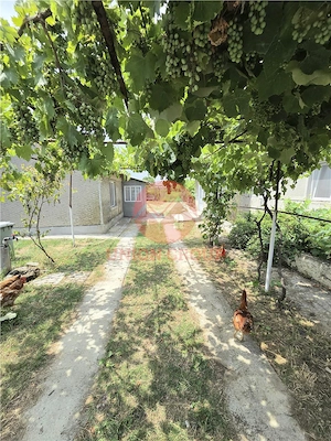 Casa 2 Camere cu Teren 1000 mp, Langa Pensiunea Laguna Vadu - imagine 17