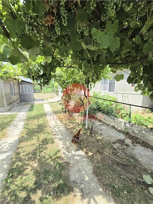 Casa 2 Camere cu Teren 1000 mp, Langa Pensiunea Laguna Vadu - imagine 19