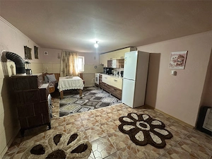 Casa Cocheta de Vacanta, Com.Doclin, sat. Tirol - imagine 8