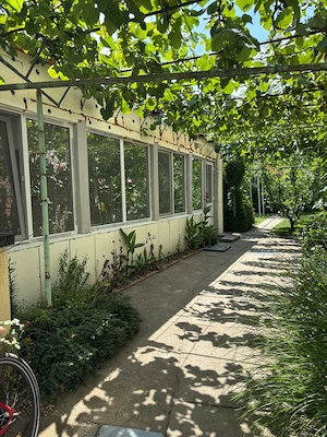 Închiriez casă în curte comună direct de la proprietar.