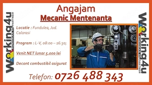 Mecanic Mentenanta Industriala