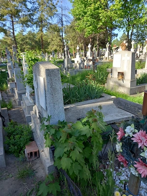 Vând loc de veci, 2 cripte, Iasi, cimitir Sf Petru și Pavel - imagine 5