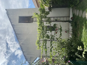 Casa de vanzare in zona centrala Targu Mures - imagine 3