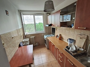  De Închiriat: 2 Camere Modern –Locație Premium, Tineretului Vis-a-vis de Parc - imagine 4