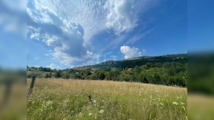 Teren cu potențial turistic, cadru natural rar, 20.000 mp  Sacuieu - imagine 5