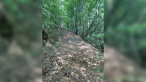 Teren cu potențial turistic, cadru natural rar, 20.000 mp  Sacuieu - imagine 10