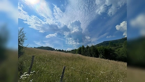 Teren cu potențial turistic, cadru natural rar, 20.000 mp  Sacuieu - imagine 4
