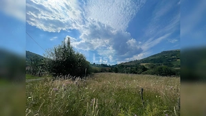 Teren cu potențial turistic, cadru natural rar, 20.000 mp  Sacuieu - imagine 8