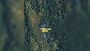 Teren cu potențial turistic, cadru natural rar, 20.000 mp  Sacuieu - imagine 2