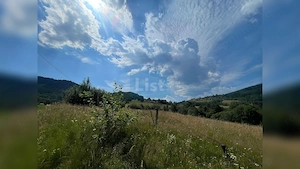 Teren cu potențial turistic, cadru natural rar, 20.000 mp  Sacuieu - imagine 6