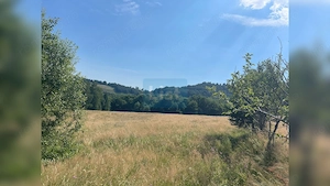 Teren cu potențial turistic, cadru natural rar, 20.000 mp  Sacuieu - imagine 9