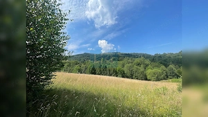 Teren cu potențial turistic, cadru natural rar, 20.000 mp  Sacuieu - imagine 7