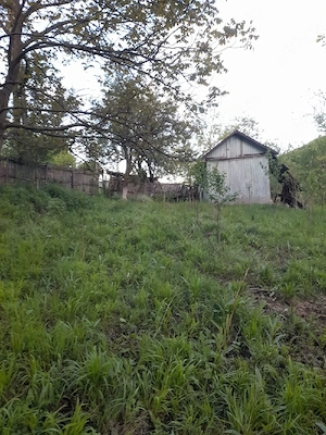  Cabană și teren 1600 metri intravilan  la  munte - imagine 2