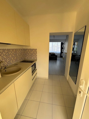 Garsoniera renovata integral- zona Ultracentrala  - imagine 5